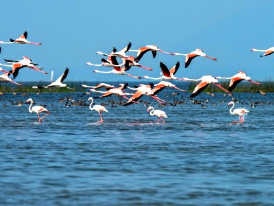 Odisha Honeymoon Tour